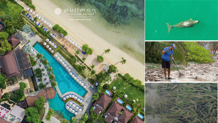 Pullman Phuket Panwa Beach Resort Supports Marine Conservation Efforts - TRAVELINDEX